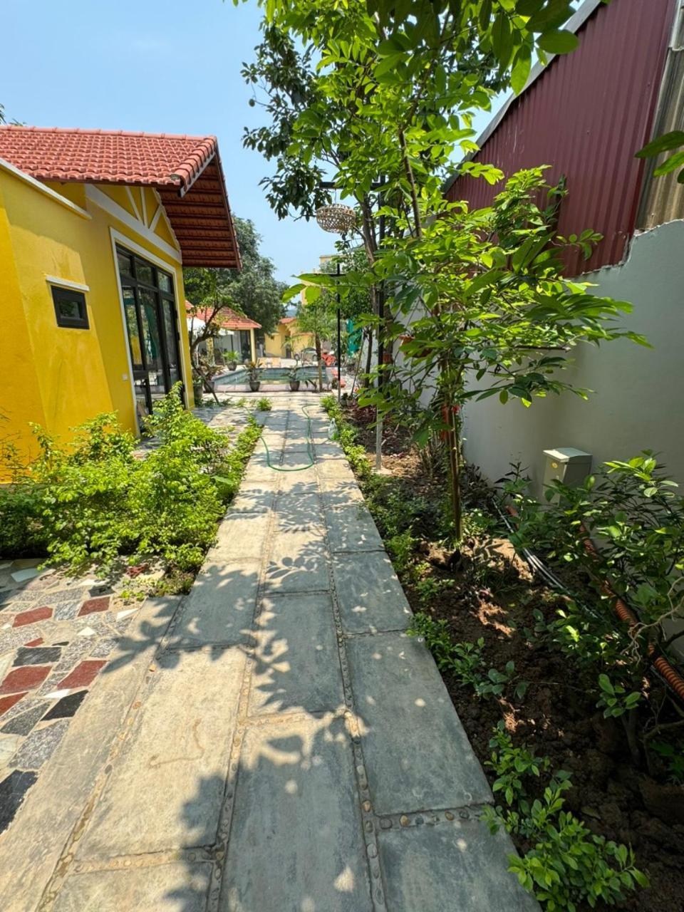 Гостевой дом Azalea Tam Coc Ниньбинь Экстерьер фото